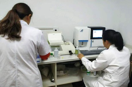 北京新巴乐视频下载生物介绍补钙对巴乐视频下载有哪些优势